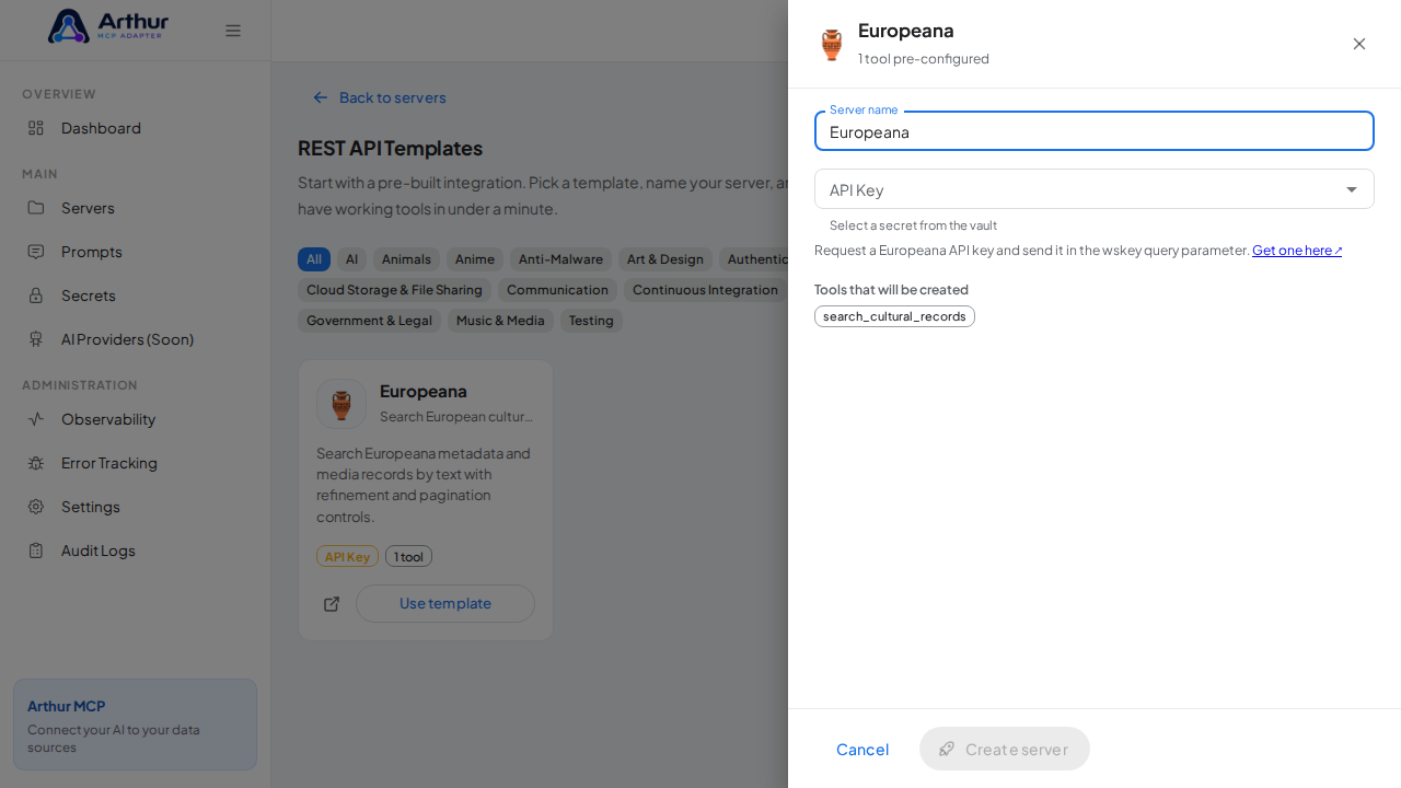 Open the Europeana template with its preconfigured tools