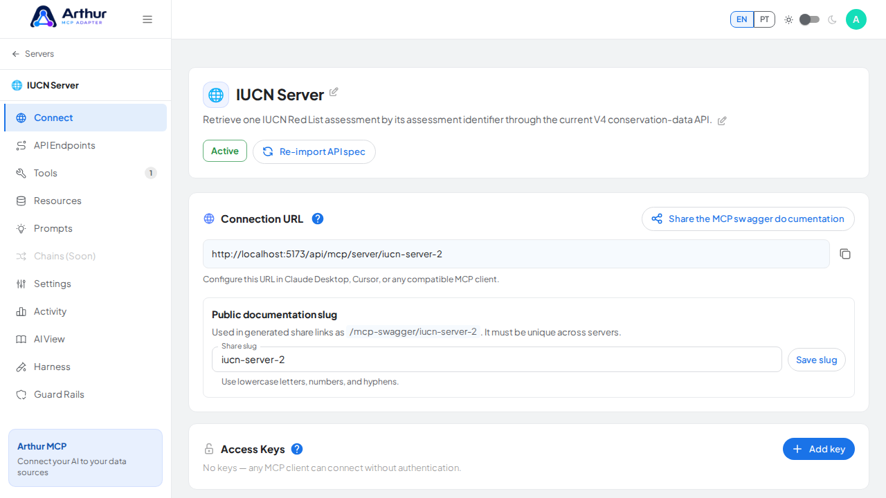Open the server's Connect section, where the MCP endpoint and its documentation live