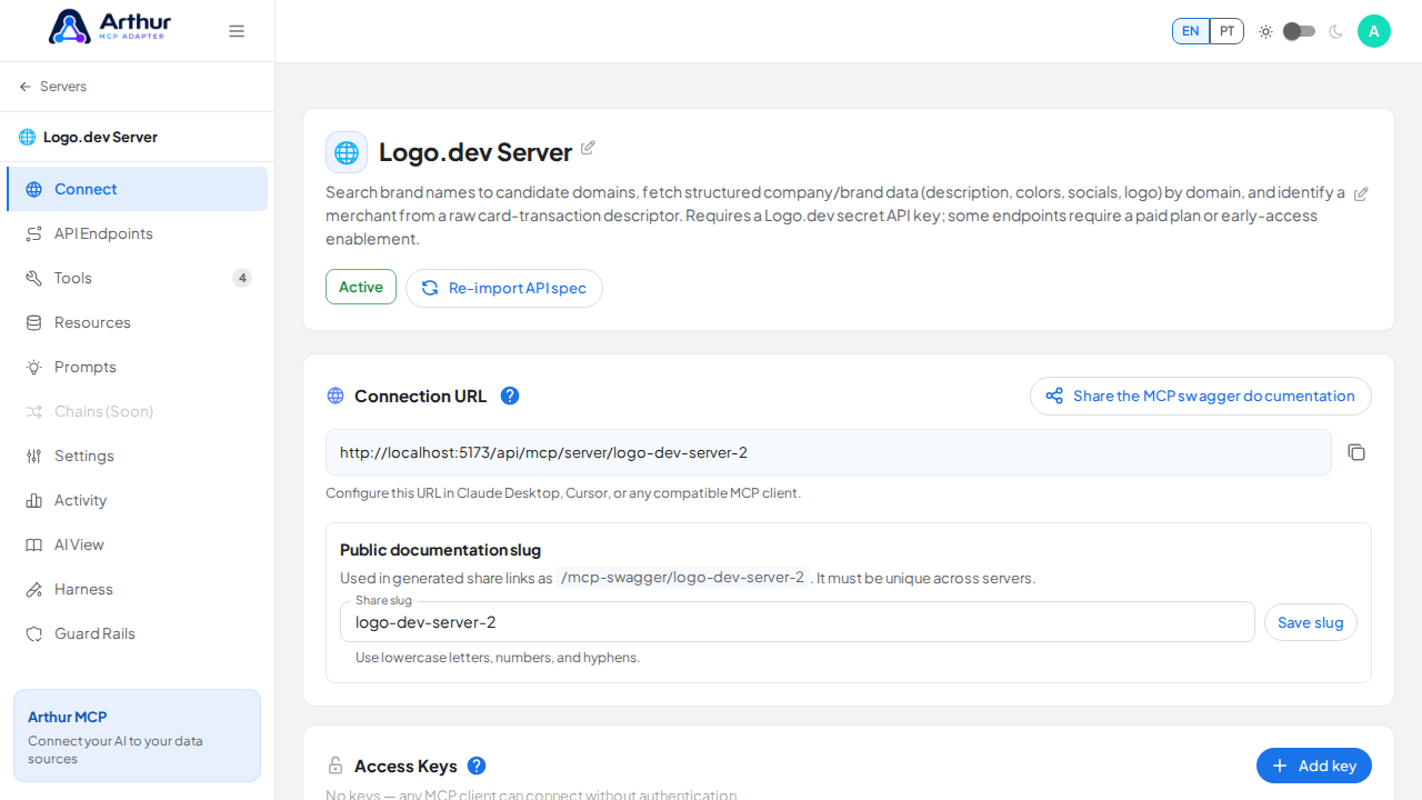 Open the server's Connect section, where the MCP endpoint and its documentation live