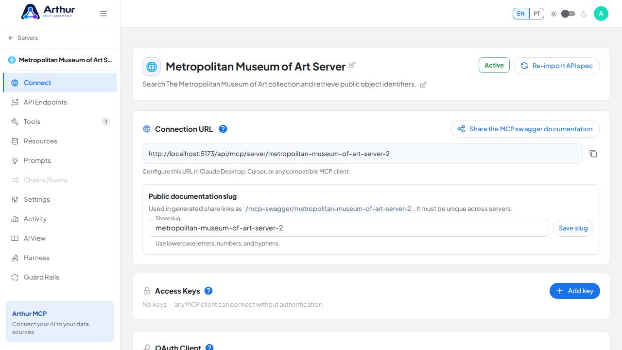 Open the server's Connect section, where the MCP endpoint and its documentation live