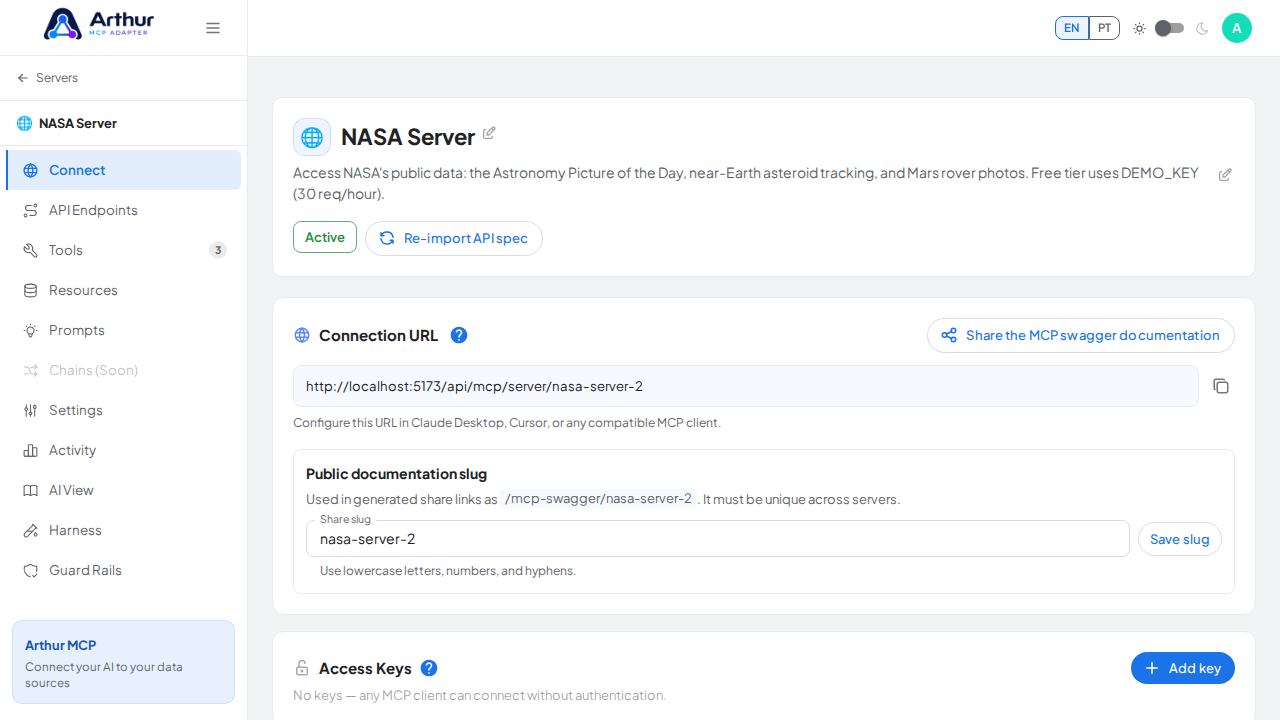 Open the server's Connect section, where the MCP endpoint and its documentation live