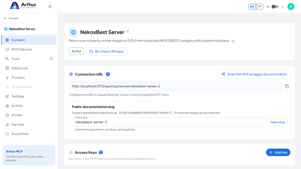 Open the server's Connect section, where the MCP endpoint and its documentation live