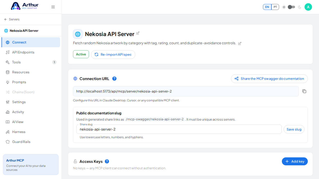 Open the server's Connect section, where the MCP endpoint and its documentation live