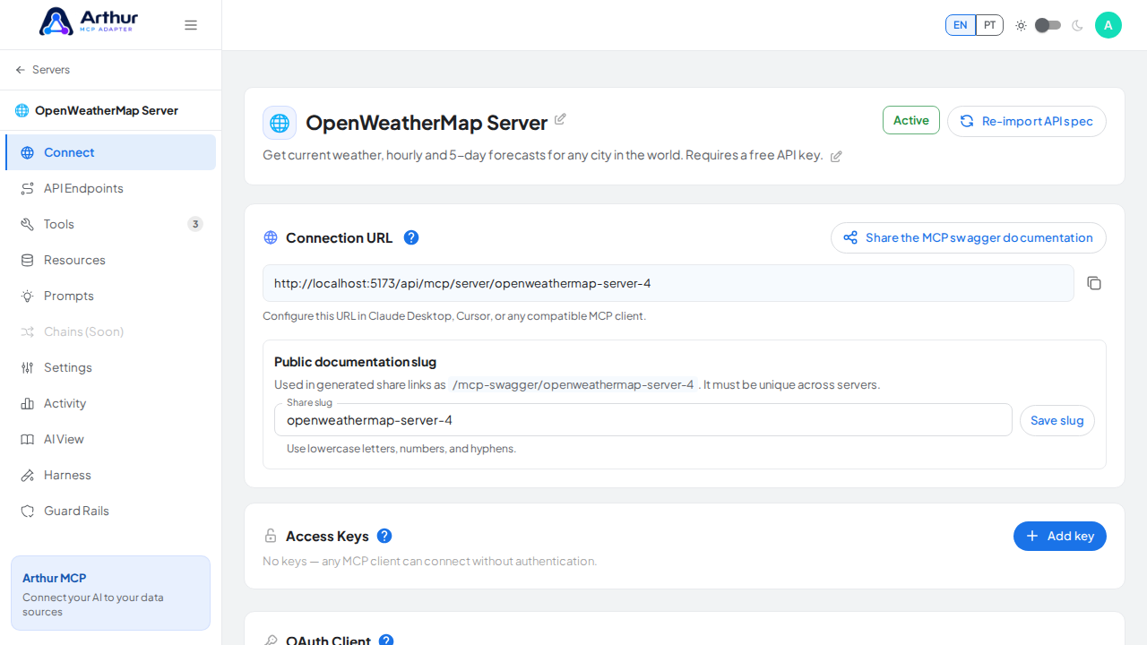 Open the server's Connect section, where the MCP endpoint and its documentation live