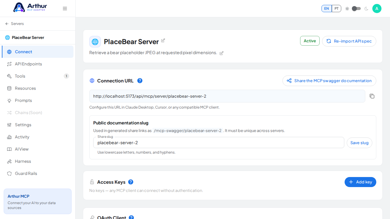 Create the PlaceBear server with its preconfigured tools