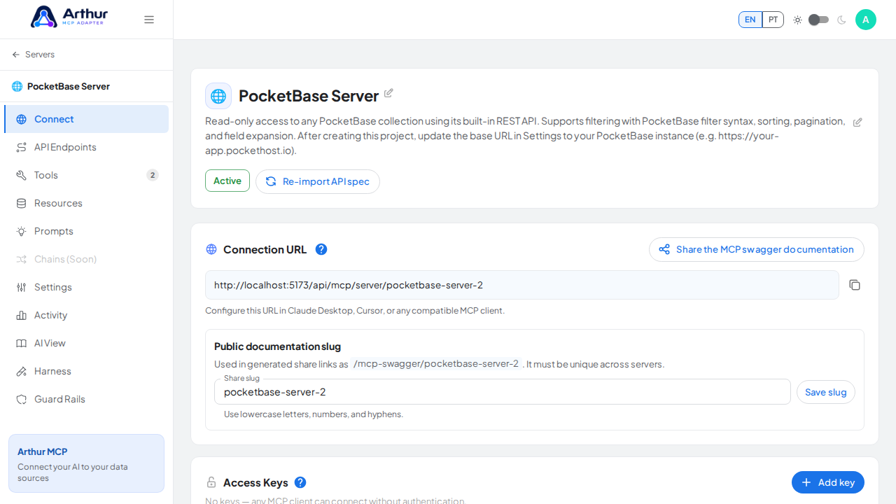 Open the server's Connect section, where the MCP endpoint and its documentation live
