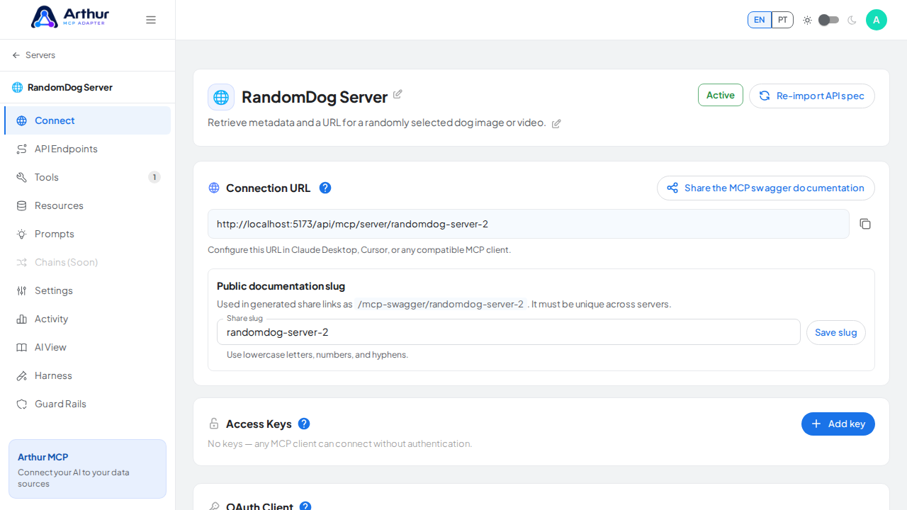 Create the RandomDog server with its preconfigured tools