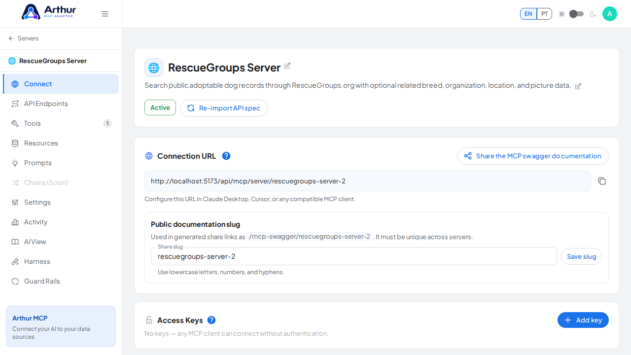 Open the server's Connect section, where the MCP endpoint and its documentation live