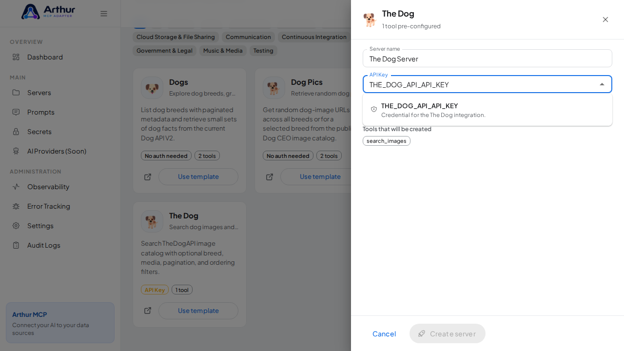Pick the THEDOGAPIAPIKEY secret from the vault suggestions