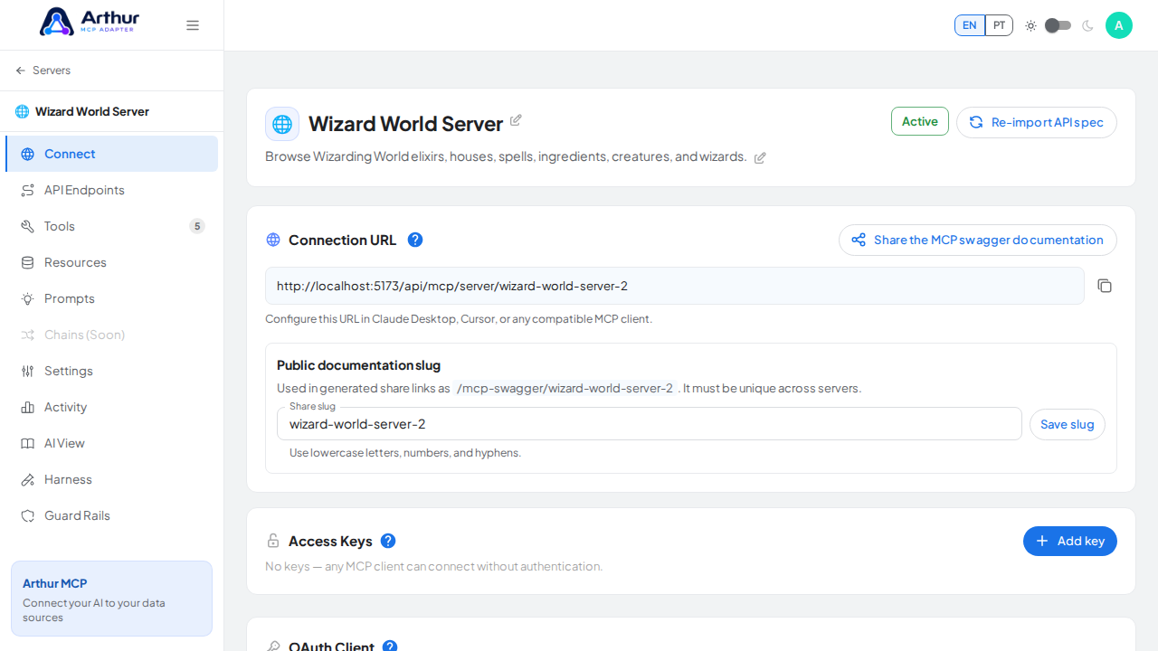 Open the server's Connect section, where the MCP endpoint and its documentation live