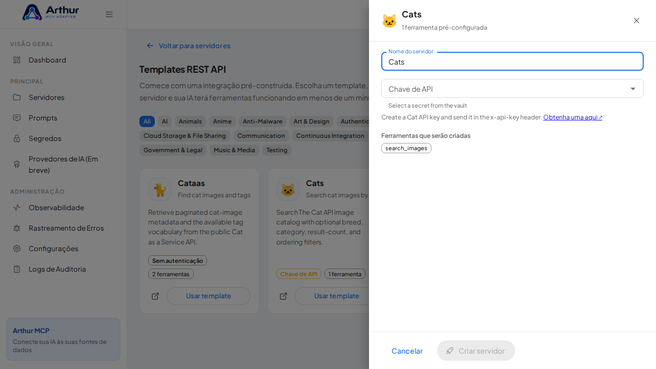 Abra o template Cats com suas ferramentas pré-configuradas