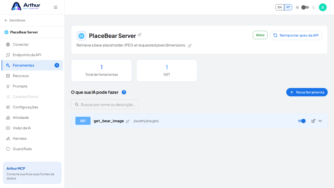 Revise as ferramentas geradas a partir do template PlaceBear