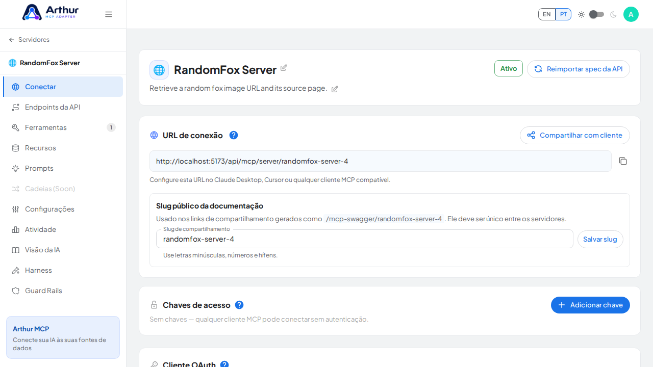 Abra a seção Conectar do servidor, onde ficam o endpoint MCP e sua documentação