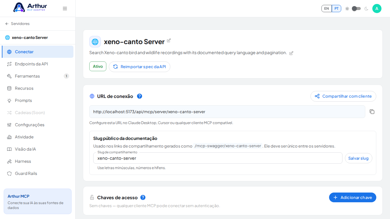 Abra a seção Conectar do servidor, onde ficam o endpoint MCP e sua documentação