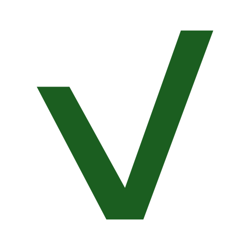 Venture Icon