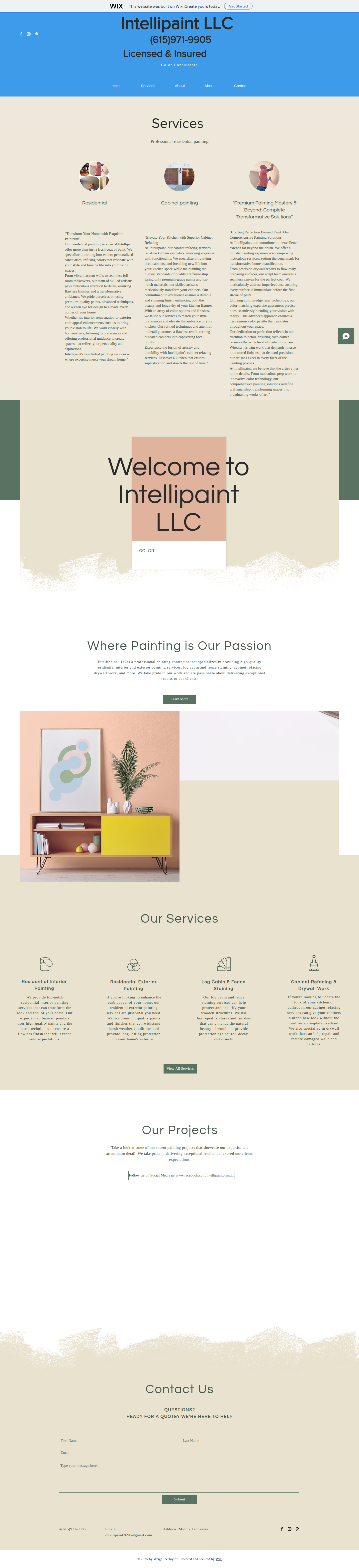 Current-site screenshot for Intellipaint LLC