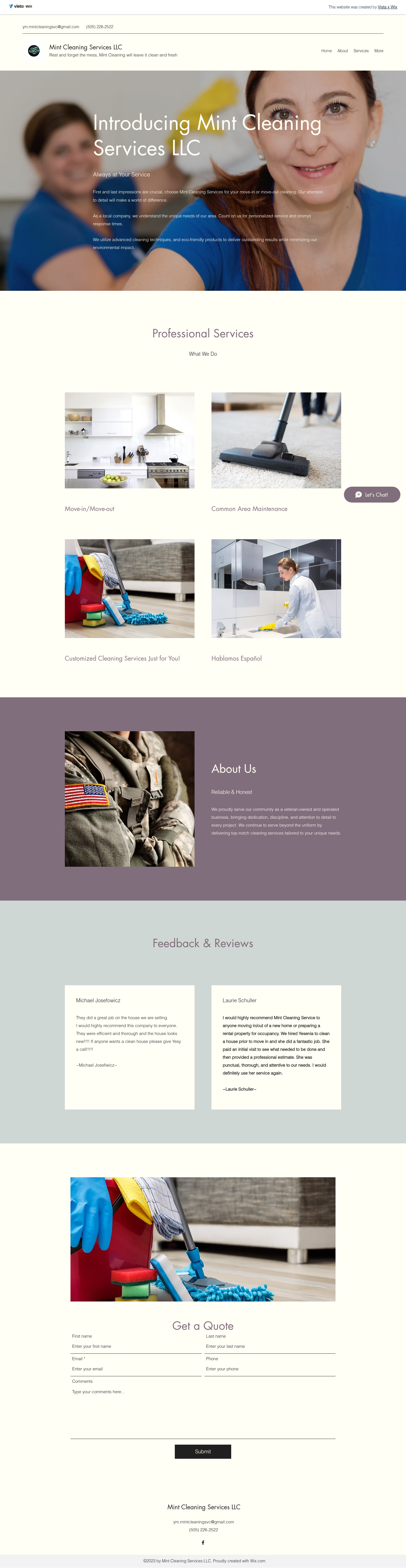 Current-site screenshot for Mint Cleaning Services LLC