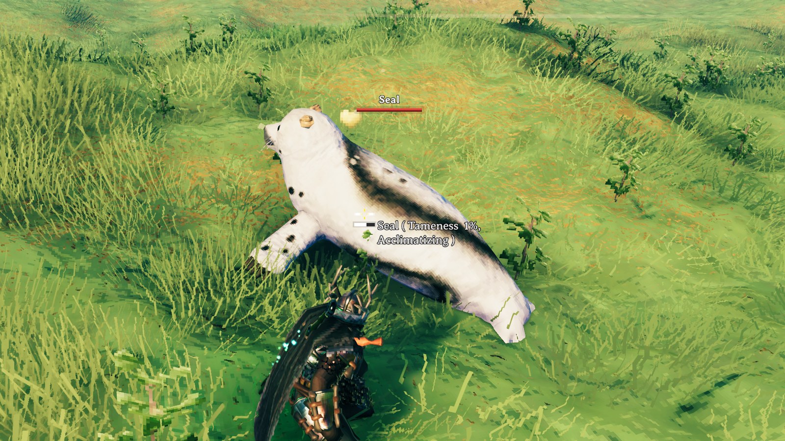 A wild seal being tamed: "Seal (Tameness 1%, Acclimatizing)" with a golden taming heart