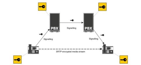 https://raw.githubusercontent.com/algues111/docs-cfc/main/docs/source/images/M391/sips-srtp.jpeg