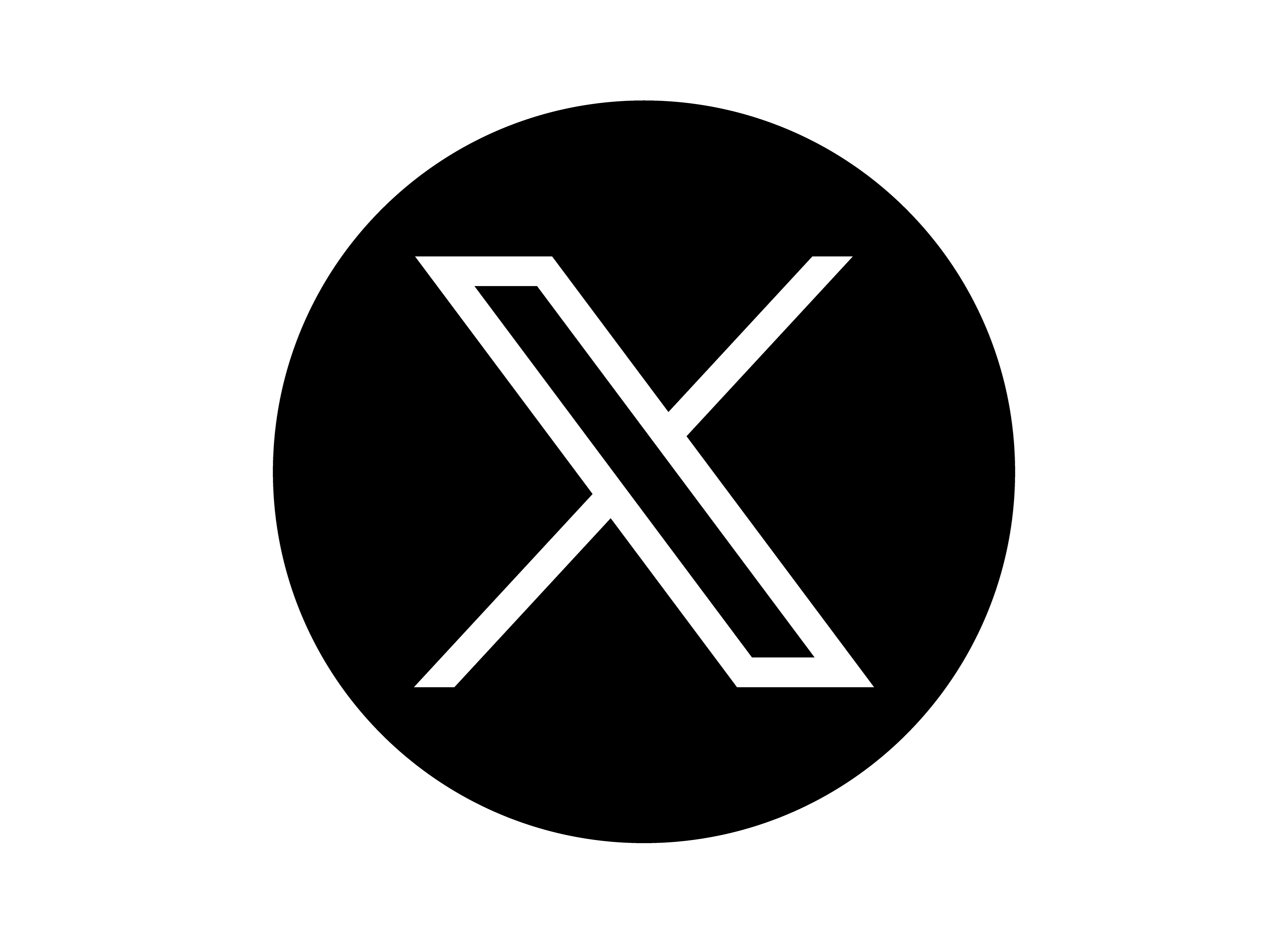 Twitter New X Icon/Logo
