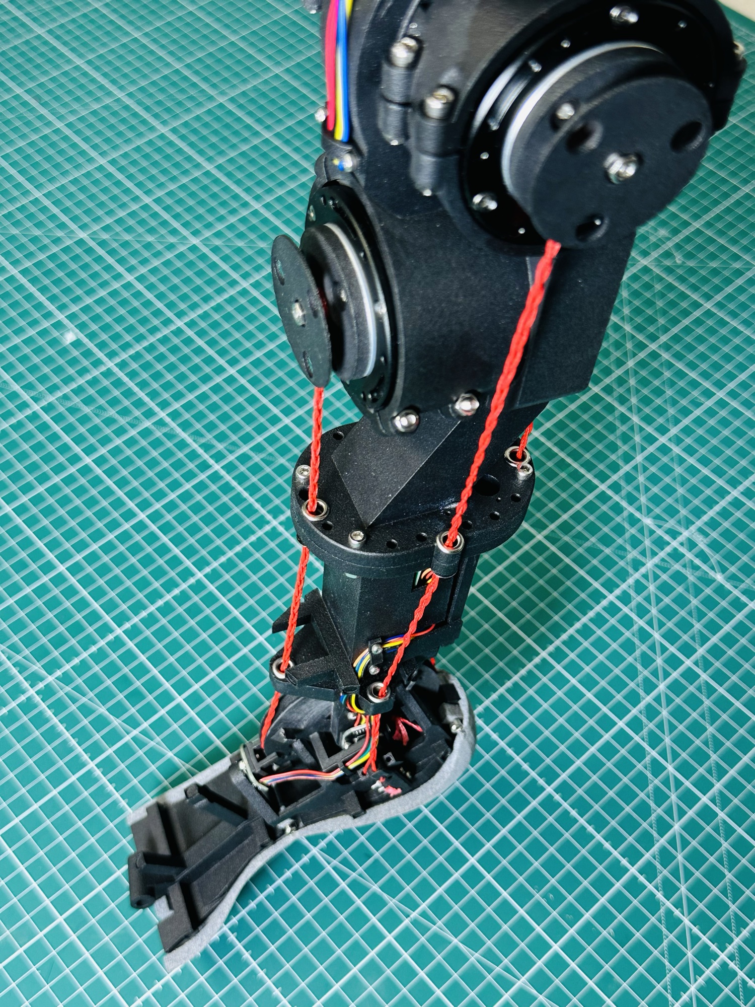 prototype-photo-full-leg.jpg