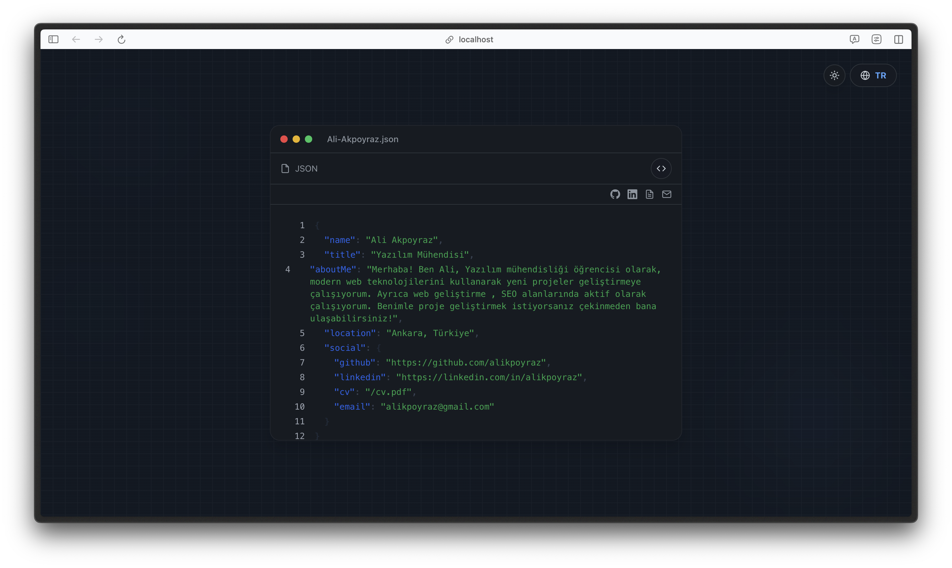 Dark Mode JSON View - Turkish