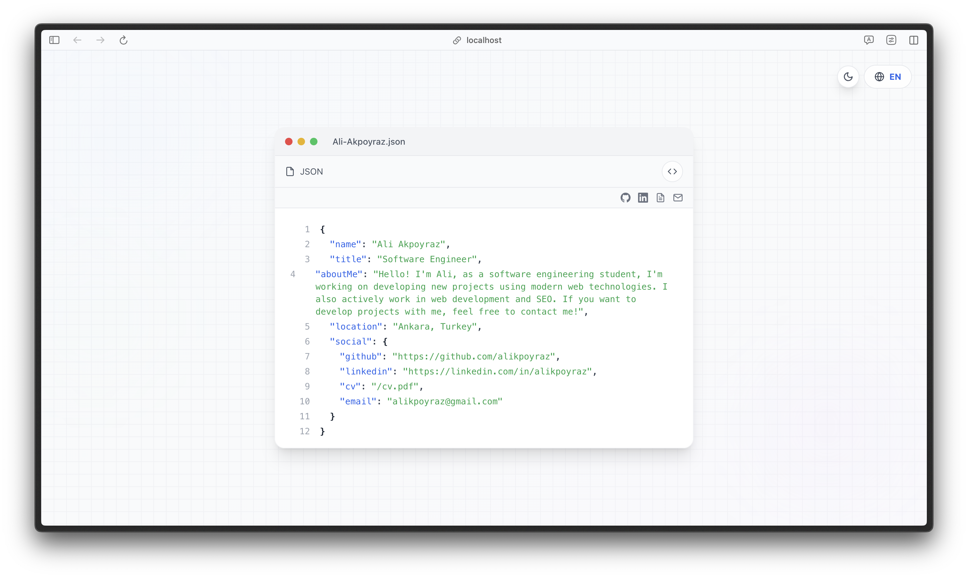 Light Mode JSON View - English