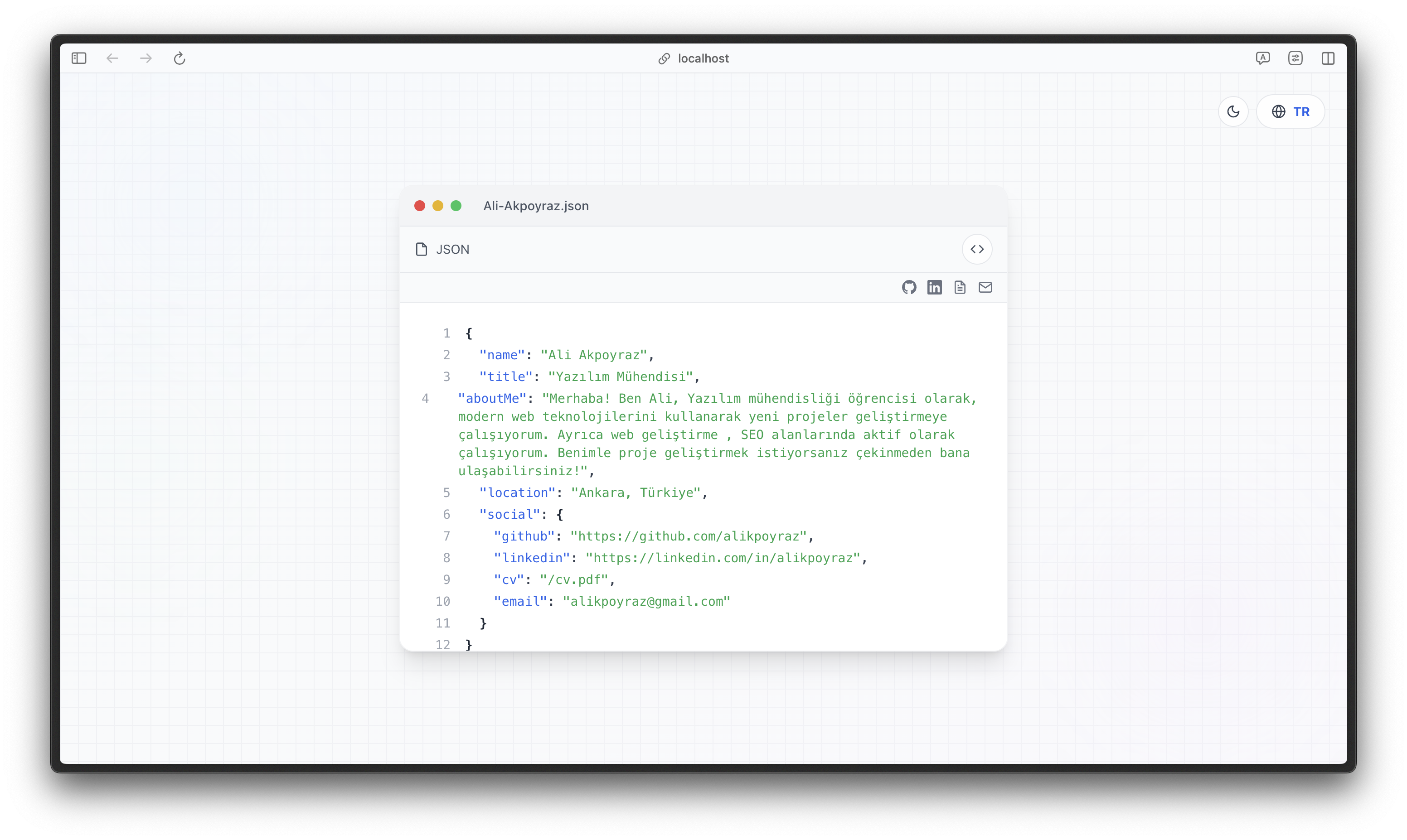 Light Mode JSON View - Turkish