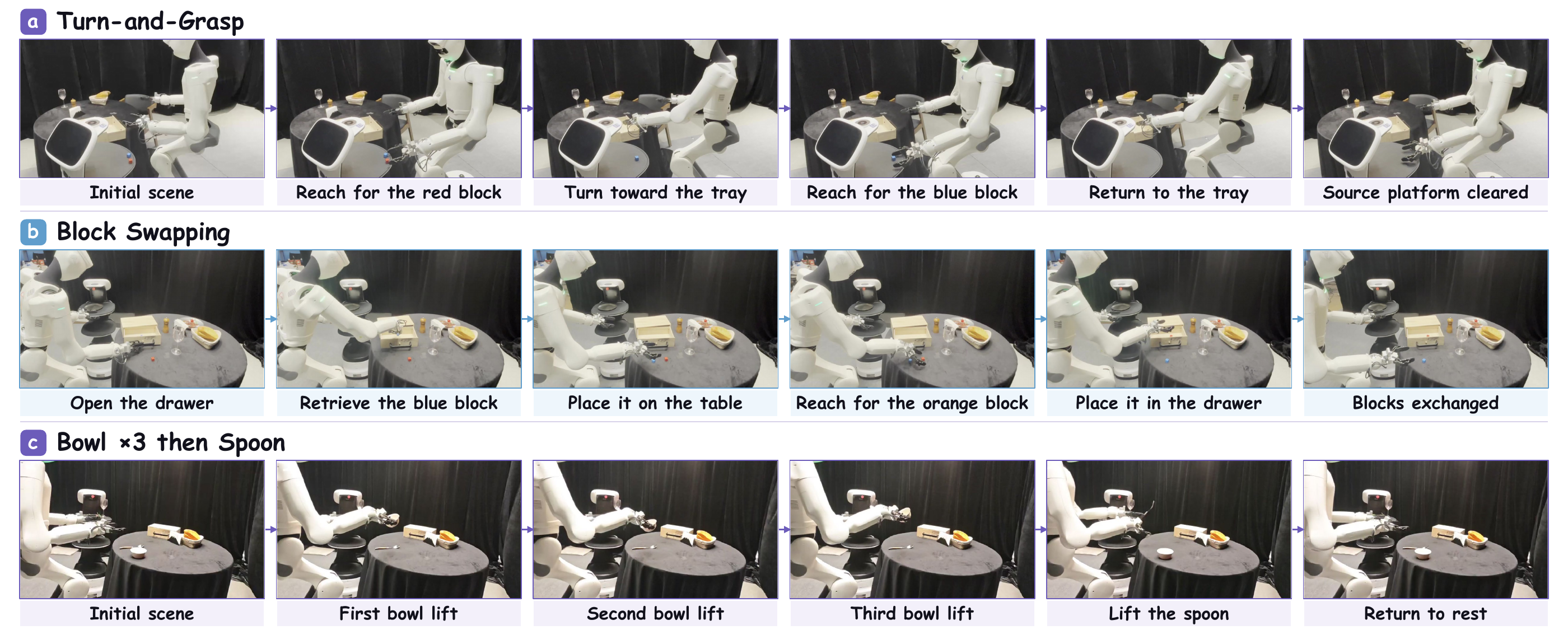 Real-Robot Execution Examples
