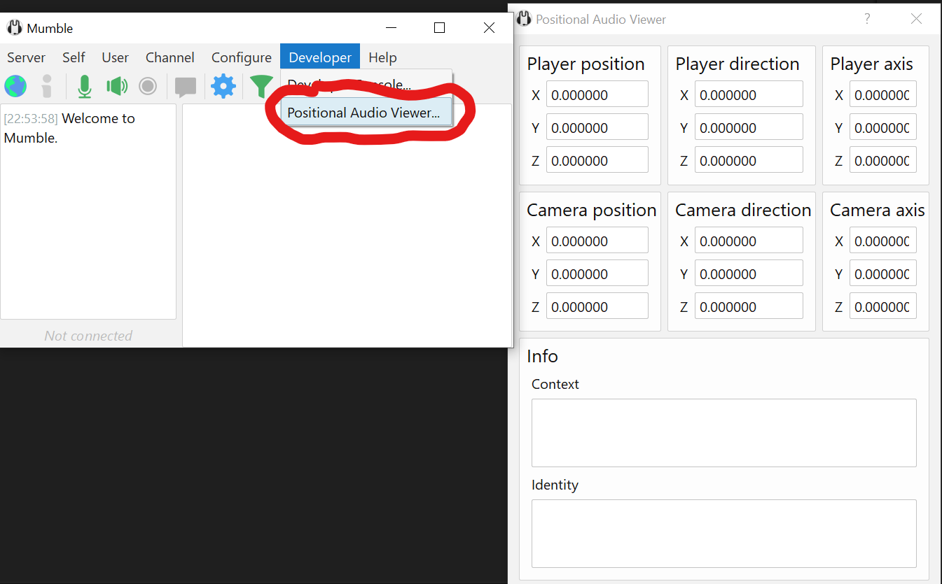 Screenshot of mumble, viewing positional audio debugger
