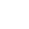 Flip