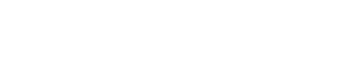 GoPayLater