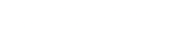 SPayLater