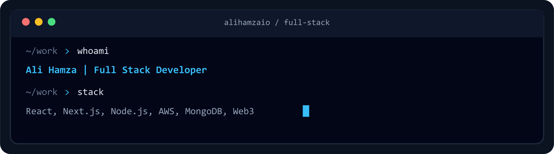 Ali Hamza Full Stack Developer terminal
