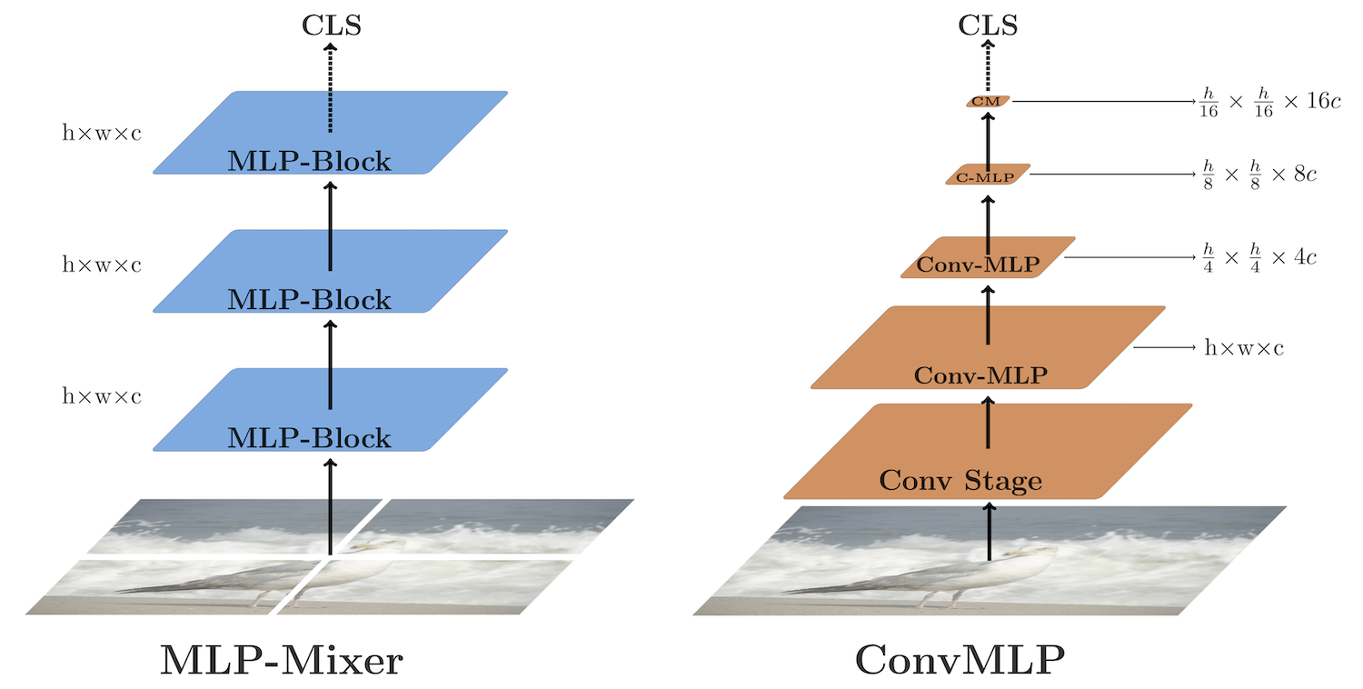 Comparison