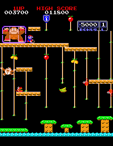 Donkey Kong Jr.