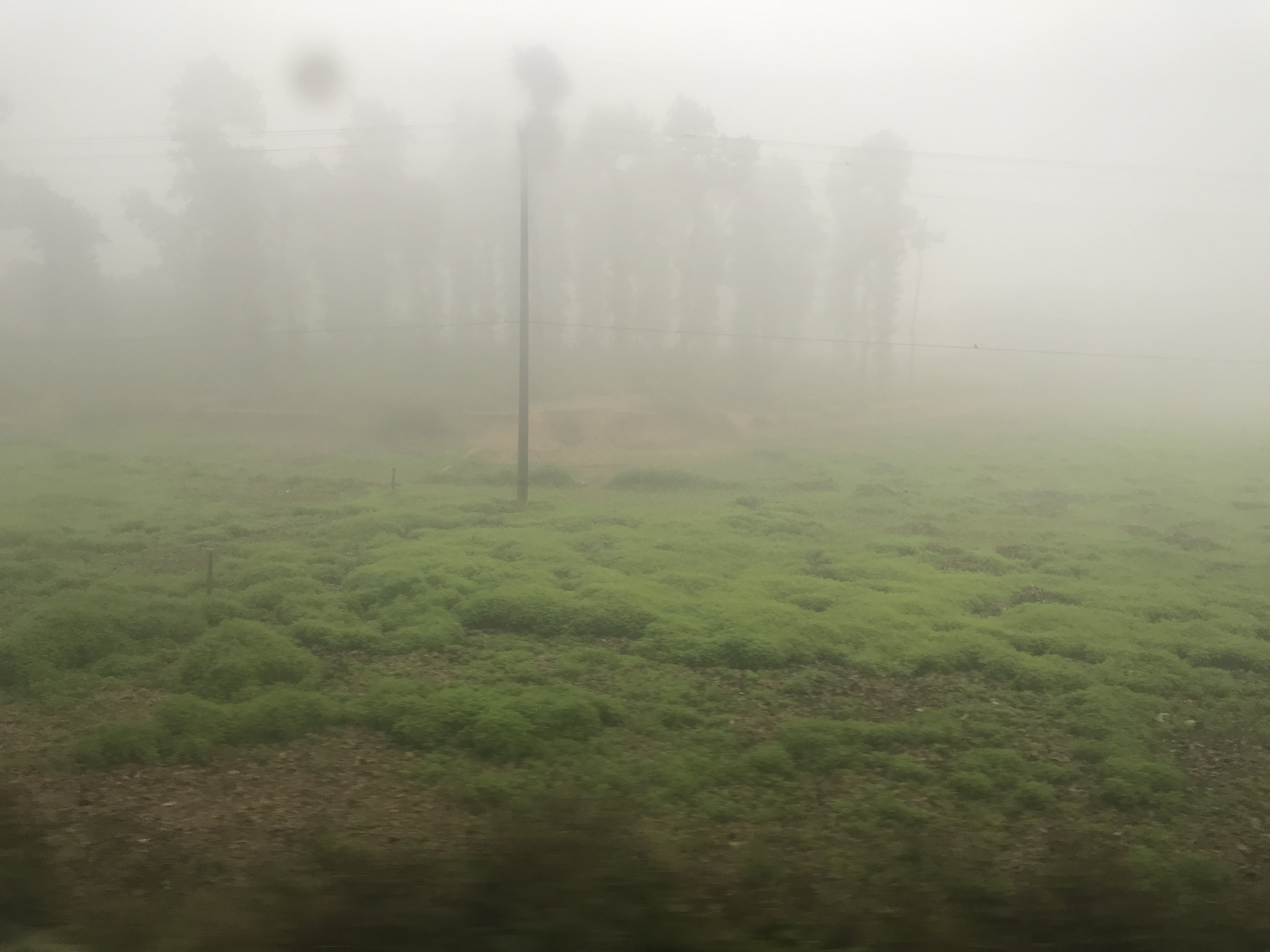 Fog from train