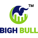 bigh-bull-technosoft-llp Logo