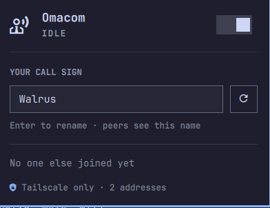 Panel running in Tailscale-only mode