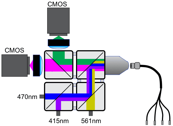 FIP System Light Path