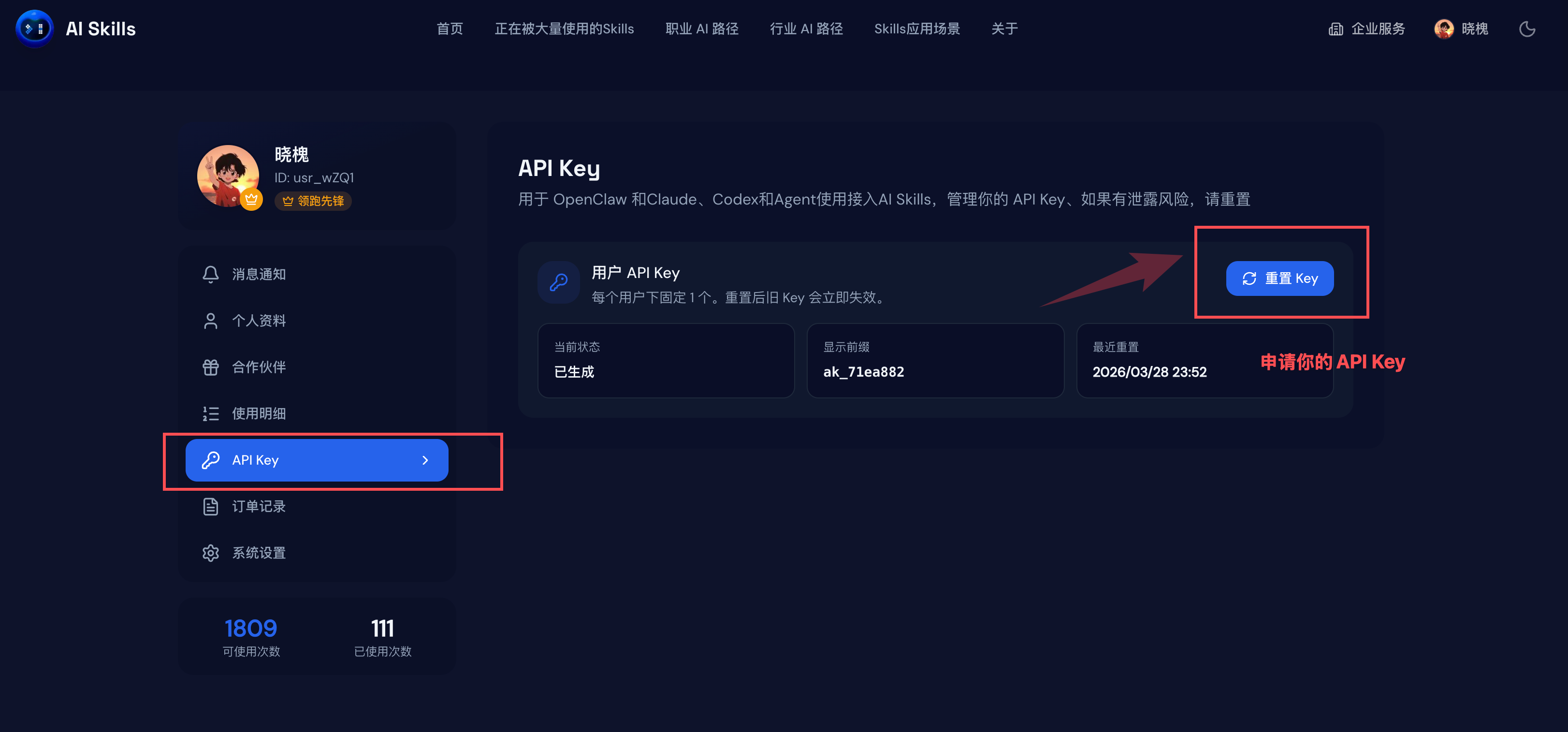 在 AI Skills 站点申请 API Key