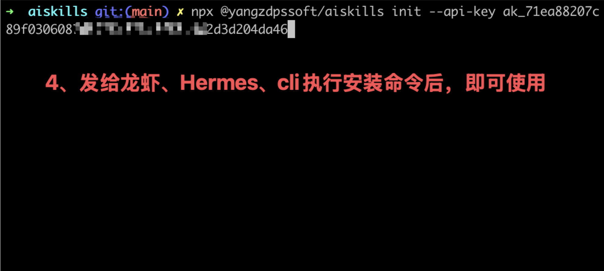 在终端执行 AI Skills 安装命令