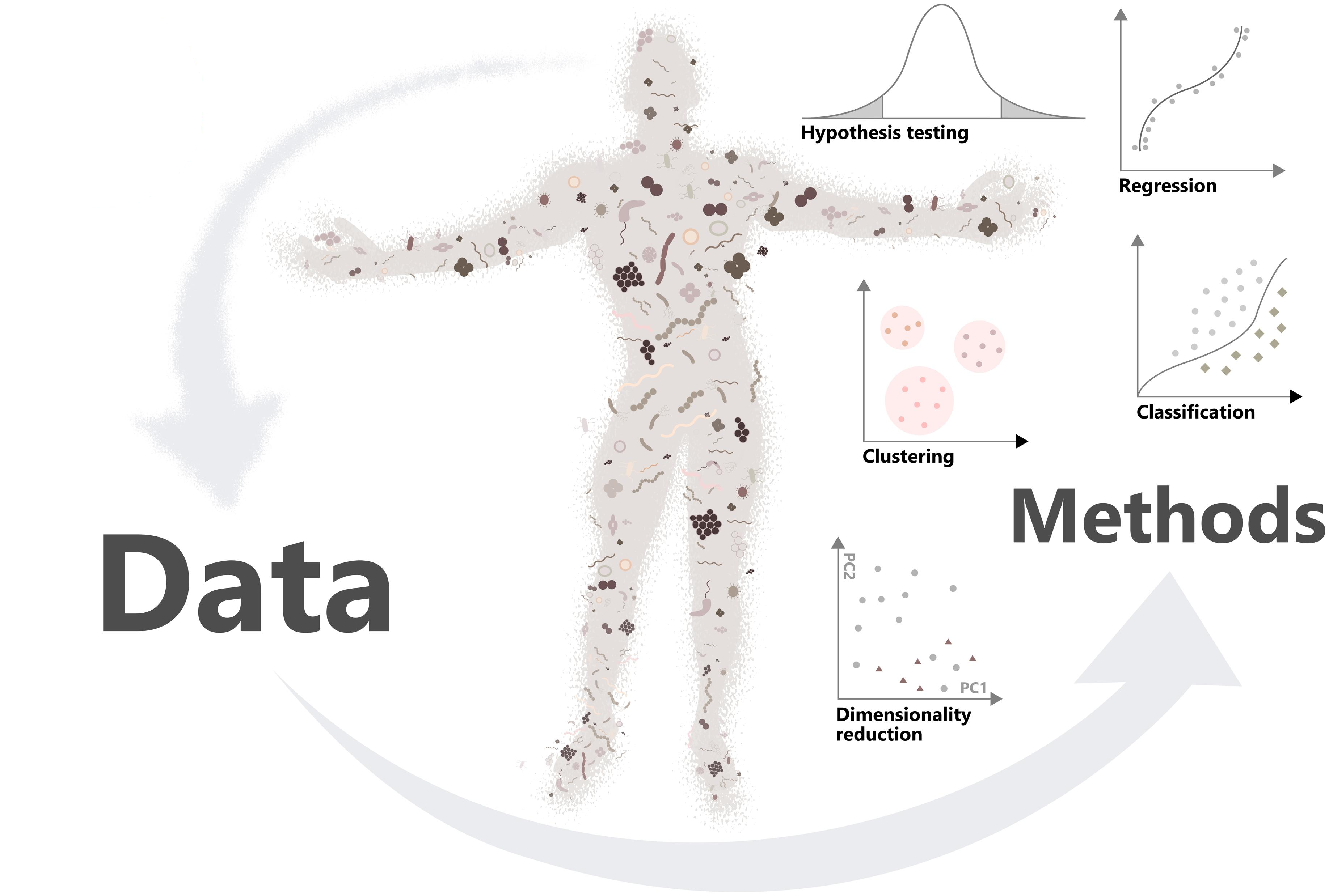 Figure source: Moreno-Indias et al. (2021) Statistical and Machine Learning Techniques in Human Microbiome Studies: Contemporary Challenges and Solutions. Frontiers in Microbiology 12:11.