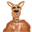 Kongroo