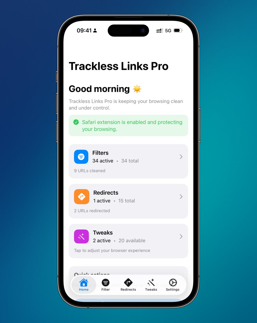 Safari extension dashboard