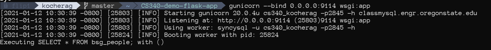 Terminal on OSU running gunicorn command