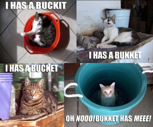 buckets.jpg