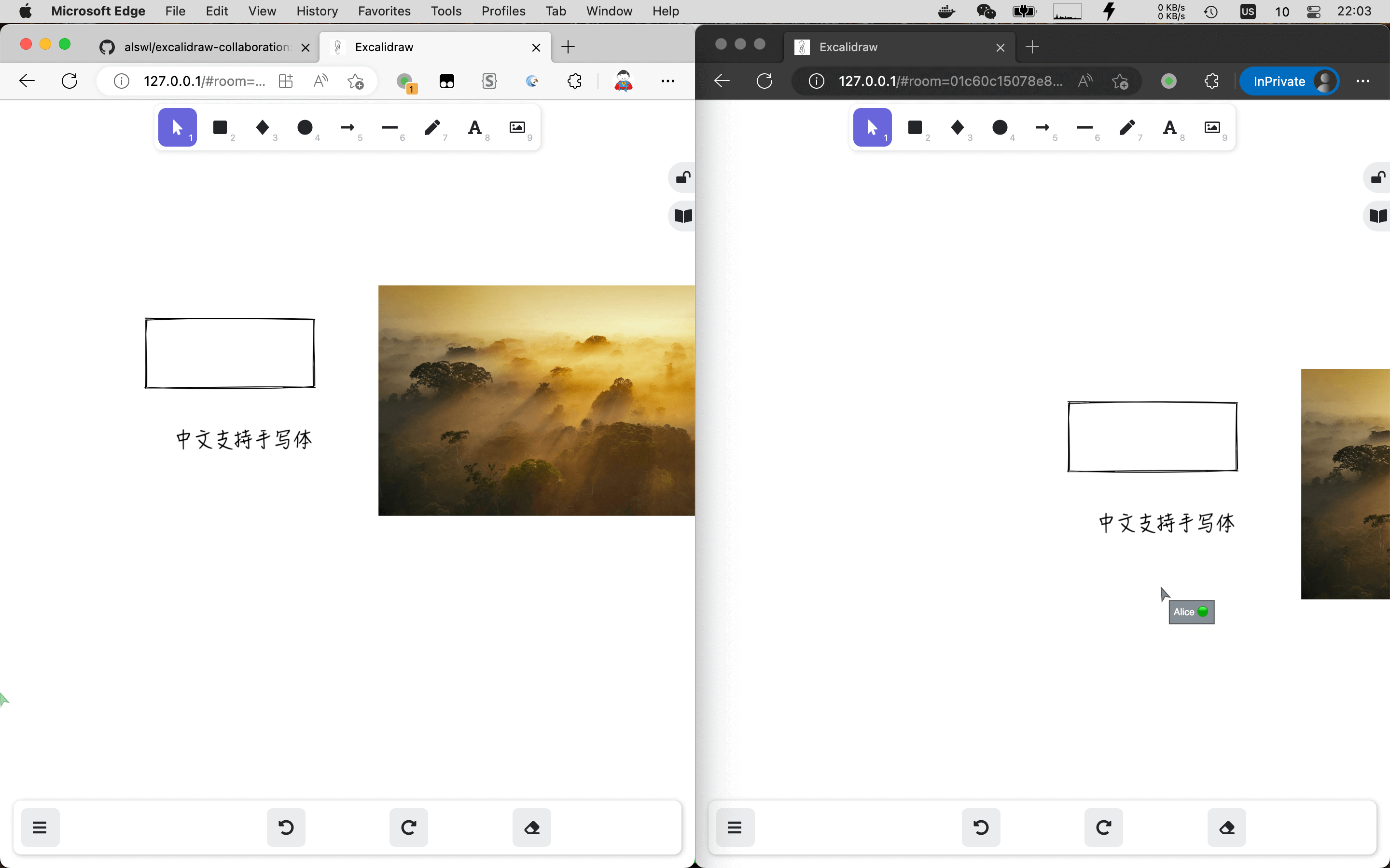 Excalidraw collaboration snapshot