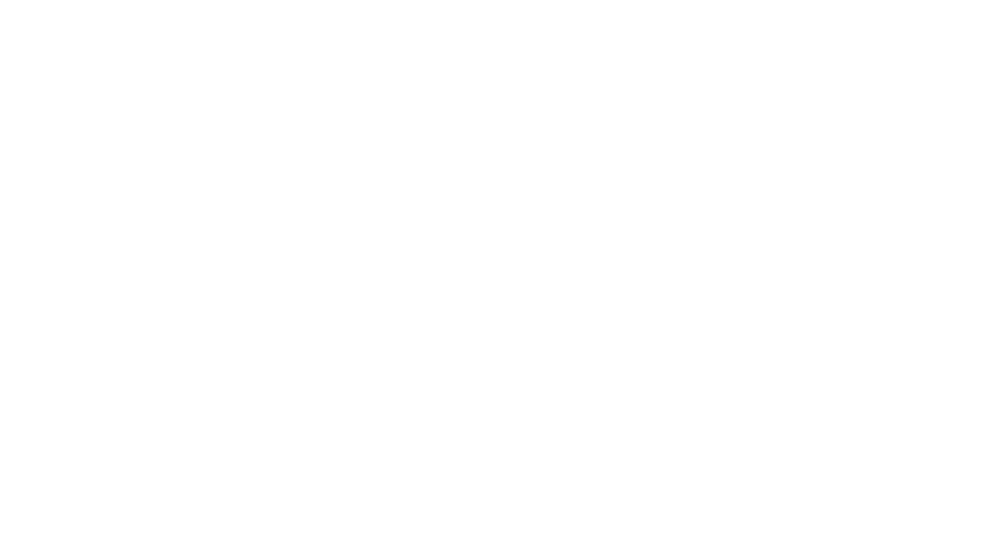 Capital Flight NY